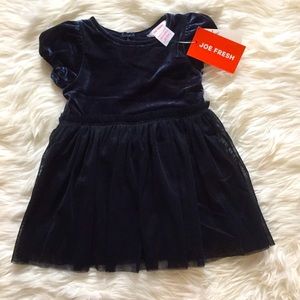 NWT! JOE FRESH midnight blue Velvet Dress (baby girls)